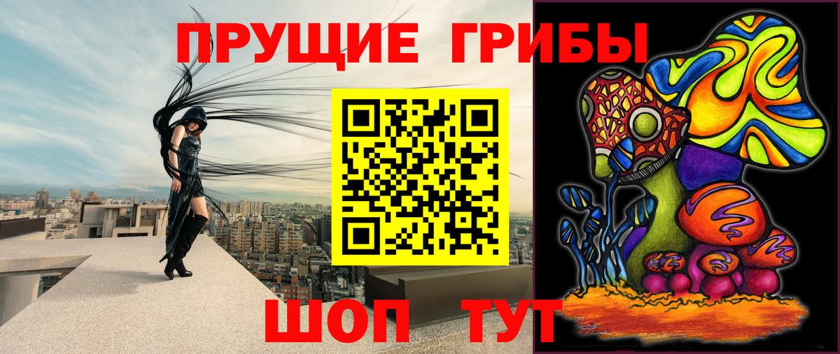 Псилоцибиновые грибы мухоморы Тайшет